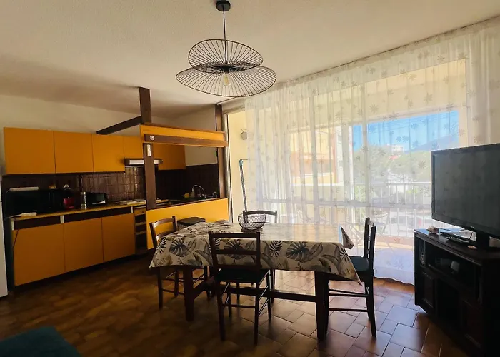 Argeles Plage - T3 Spacieux Avec Parking A 30M De La Plage - Fr-1-309-242 شقة